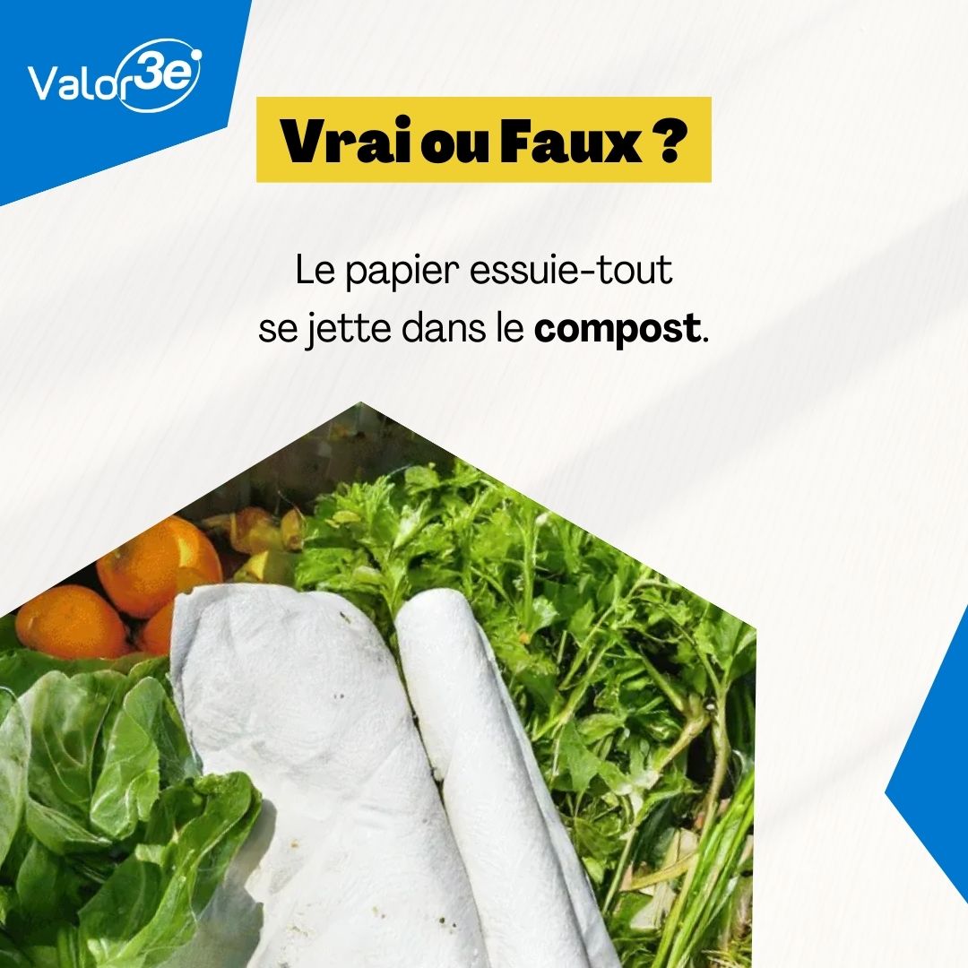 Vrai ou Faux ? Les papiers essuie-tout se jettent dans le compost ?